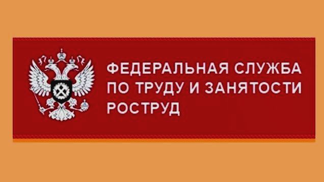 Официальном сайте федеральной службы по труду