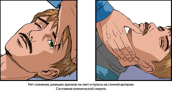 Для чего голову пострадавшего запрокидывают. Смотреть фото Для чего голову пострадавшего запрокидывают. Смотреть картинку Для чего голову пострадавшего запрокидывают. Картинка про Для чего голову пострадавшего запрокидывают. Фото Для чего голову пострадавшего запрокидывают