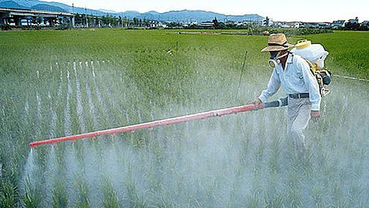 Реферат: Профилактика отравлений ядохимикатами применяемыми в сельском хозяйстве